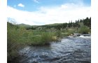 Property photo 14 - Get Lost in the Pristine Northern Colorado Rockies - Prime Building Sites